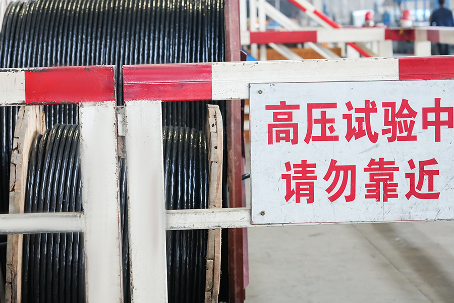 Yangzhou Yaguang Cable Co., Ltd.